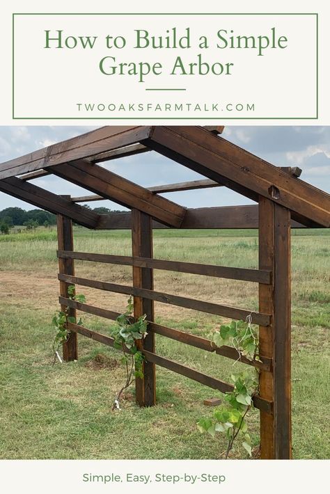 How to Build a Simple Grape Arbor #howto #build #arbor #construction #diy #easy #farmconstruction #homestead #homesteading #twooaksfarmstead Grapevine Arbor Ideas, Grape Arbor Diy, Easy Arbor Diy, Grape Arbor Ideas Diy, Grape Arbor Ideas, Grape Arbour, Grape Vine Trellis, Diy Arbour, Grape Trellis