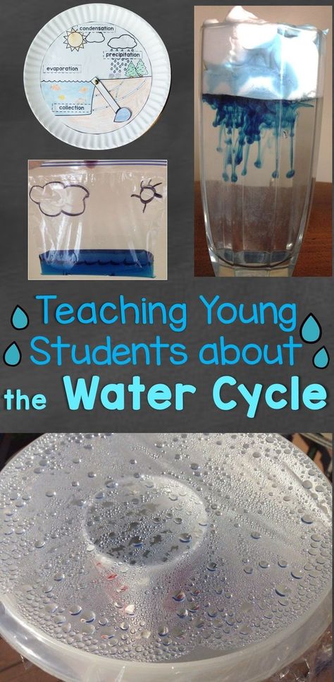 Water Cycle Diorama, Water Cycle Experiments, Water Cycle Game, Water Cycle Anchor Chart, Water Cycle Lessons, Water Cycle Craft, Water Cycle Model, Water Cycle For Kids, Provocation Ideas