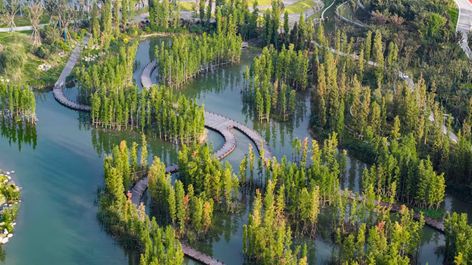 Yujidao Park, Sichuan | BLVD International | Archinect Sponge City, Wetland Park, Eco City, Urban Landscape Design, Park Design, Island Park, Urban Landscapes, Coastal Cities, Green City