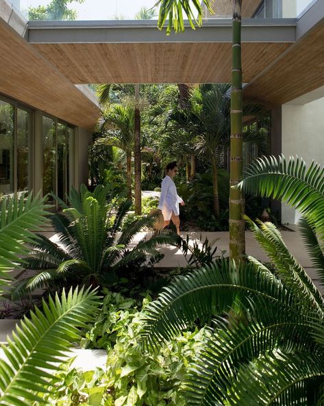 @vida.masterplanning.design shared a photo on Instagram: “Blurring the line between architecture and landscape. :) ⠀⠀⠀⠀⠀⠀⠀⠀⠀ #landscapearchitecture #landscapedesign #nosara #costarica #junglehouse…” • Jan 27, 2022 at 1:58am UTC Resort Landscape Design, Landscape Resort, Balinese Landscape, Masterplan Architecture, Ubud Villas, Ubud Hotels, Modern Tropical House, Courtyard Landscaping, Jungle House