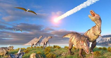 The Day The Dinosaurs Died, Told In Horrifying New Detail Extinction Art, Ice Age 3, Dinosaurs Extinction, Puppet History, Dinosaur History, Tata Surya, History Of Earth, Environment Science, All Dinosaurs