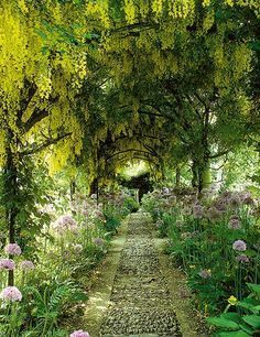 Self-taught British designer Rosemary Verey created this tunnel of laburnum and wisteria at her home at Barnsley House in Gloucestershire, England. During her career she also worked on commissions for Prince Charles and Elton John. Wisteria Tunnel, Barnsley House, Funny Vine, Longwood Gardens, Most Beautiful Gardens, Have Inspiration, The Secret Garden, Magical Garden, Gorgeous Gardens