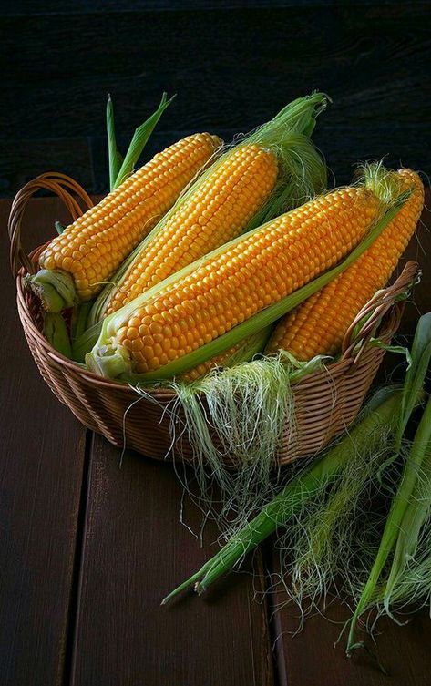 Salty Recipes, Corn Pancakes, Vegetables Photography, Food Art Photography, Fruits Photos, Fruit Photography, Corn On The Cob, Corn On Cob, Grilled Corn