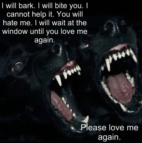 Bad Dog Quotes, I Am Not A Violent Dog, Im Not A Violent Dog Idk Why I Bite, I’m Not A Violent Dog, Im Not A Violent Dog, Animal Poetry, Canine Poetry, Dog Poetry, I Will Wait