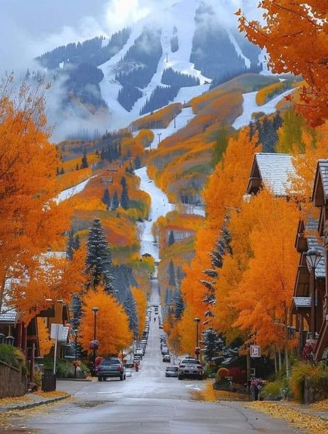 Aspen Colorado Winter, Fall Landscapes, Calm Space, Statement Boots, Colorado Fall, Japan Garden, Leaves Falling, Leaf Peeping, Fine Art Landscape Photography