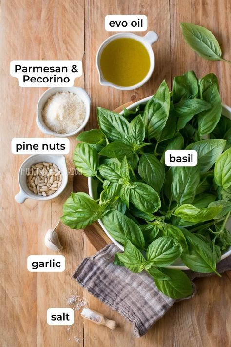 Pesto Genovese Recipe, Homemade Pesto Recipe, Pesto Recipes, Healthy Pesto, Homemade Pesto Sauce, Basil Pesto Recipes, Pesto Pasta Recipes, Basil Recipes, How To Make Pesto