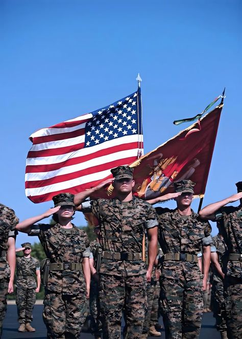 Us Marines Uniform, Us Army General, Marines Uniform, Military Salute, American Flag Pictures, Marine Officer, Army Usa, Military Photography, Military Flag