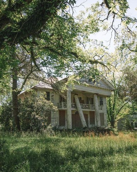 Abandoned Mansions In The Woods, Ruins, Old Abandoned Mansions, Haunted Abandoned Places, Rundown House Interior, Abandoned Places Creepy Dark, Old Abandoned Houses Interiors, Nature Reclaiming Abandoned Places, Old Victorian Homes Abandoned Mansions