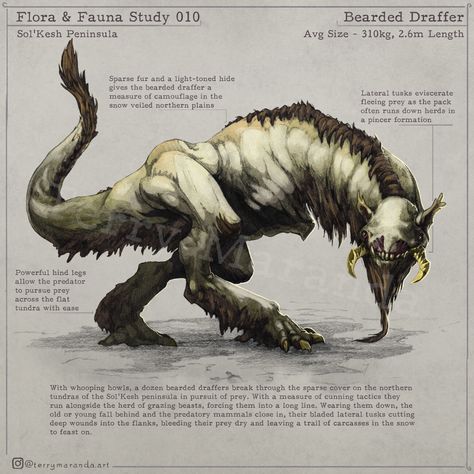 ArtStation - Flora & Fauna Study 010 Speculative Evolution, Journal Entry, Creature Artwork, Alien Concept Art, Monster Concept Art, Alien Creatures, Flora Fauna, D&d Dungeons And Dragons, Fantasy Creatures Art