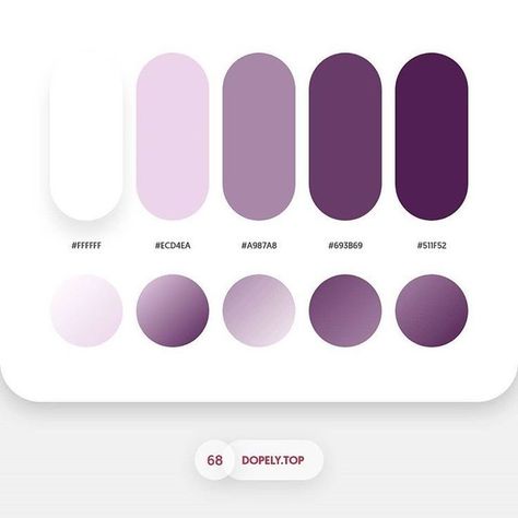 Flat Color Palette, Color Knowledge, Gradient Color Design, Website Color Palette, Color Design Inspiration, Hex Color Palette, Color Palette Challenge, Stunning Hairstyles, Color Schemes Colour Palettes