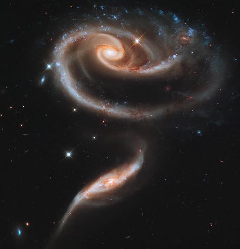 This NASA image released shows the larger of the spiral galaxies, known as UGC 1810, with a disc that is tidally distorted into a rose-like shape by the gravitational tidal pull of the companion galaxy below it, known as UGC 1813. Nasa Hubble, Hubble Telescope, Hubble Images, Spiral Galaxy, Andromeda Galaxy, Hubble Space, Space Photos, Space Images, Space Pictures