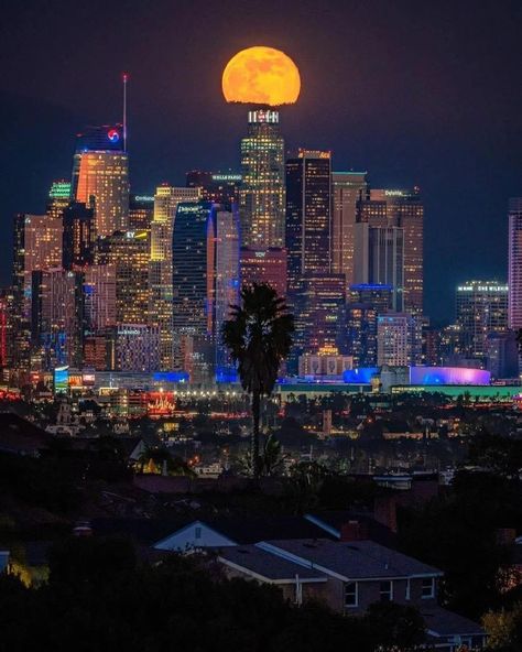 Los Angeles Aesthetic, Visit Los Angeles, Usa City, Usa Cities, Pasadena California, Sky Pictures, Night Scenery, Kruger National Park, City Of Angels