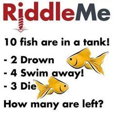 12 Impossible Riddles That Will Confuse Your Brain - Mind Game | Funny riddles, Tricky riddles, Riddles to solve Impossible Riddles With Answers, Impossible Riddles, Confusing Questions, Tricky Riddles With Answers, Tricky Riddles, Quiz Questions And Answers, Metal Tree Wall Art, Mind Tricks, 22 Words