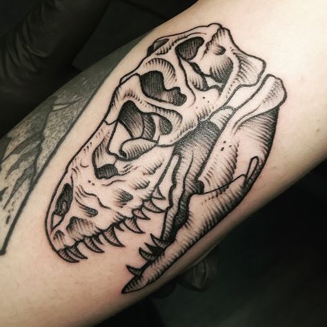 Raptor Skull Tattoo, Tyrannosaurus Tattoo, Carnotaurus Tattoo, Dinosaur Skull Tattoo, Rex Tattoo, T Rex Tattoo, Italy Tattoo, Dinosaur Skull, Dinosaur Tattoos