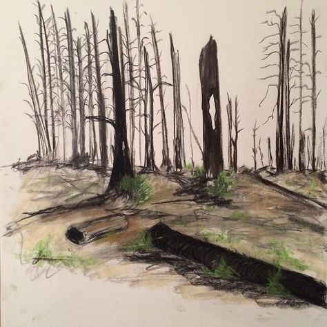 Burned Forest Art, Wild Fire Drawing, Forest Burning Drawing, Trees On Fire Drawing, Burning Tree Drawing, Burning Forest Drawing, Forest Fire Drawing, Forest Drawing Easy, Fire Paintings