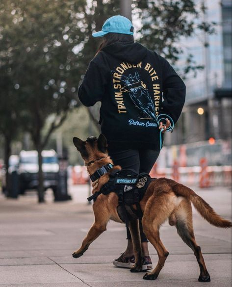 Search And Rescue Dogs Gear, Belgium Malinois Training, Belgian Malinois Service Dog, Dog Training Photography, Dog Handler Aesthetic, Working Dog Photography, Dog Trainer Aesthetic, Belgian Malinois Aesthetic, Igp Dog