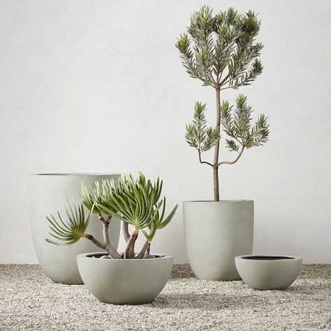 Patio Furniture & Decor | Williams Sonoma Plant Ideas Indoor, Modern Indoor Plants, Indoor Garden Design, Garden Design Home, Indoor Plant Ideas, Plant Pot Indoor, Garden Tattoos, Wall Nails, Plant Styling