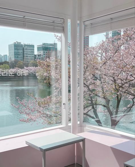 Cherry Blossom Garden Aesthetic, Korea Cherry Blossom Aesthetic, Cherry Blossom Aethstetic, Cherry Blossom City Aesthetic, Japanese School Supplies, Sakura Season Japan Aesthetic, Thanksgiving Break, Coffee Shop Aesthetic, Baby Pink Aesthetic