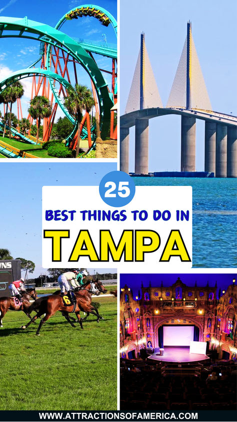 25 best things to do in Tampa. Things To Do In Tampa Florida, Tampa Florida Things To Do In, Tampa Aesthetic, Tampa Theatre, Nature Parks, Things To Do In Tampa, Sunshine Skyway Bridge, Florida Travel Destinations, Tampa Bay Florida