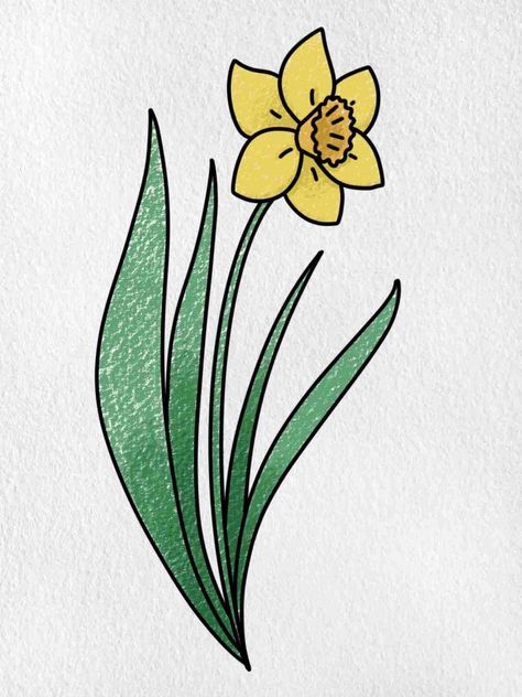 Easy to Draw Flowers - HelloArtsy Pictures Of Daffodils, Learn To Draw Flowers, Daffodil Images, Spring Drawing, Easter Drawings, Easy Flower Drawings, Draw Flowers, Art Studio Design, Daffodil Flower