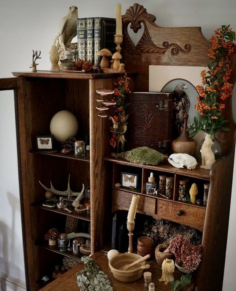 Naturalist Decor, Witchy Room, Cabinet Of Curiosities, Room Inspiration Bedroom, Dream House Decor, Room Aesthetic, House Inspo, New Room, Dream Room