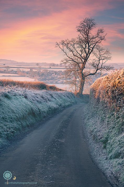 Frosty Morning, English Christmas, Inspirational Photos, Stunning Landscapes, I Love Winter, Winter Light, Dirt Road, Winter Scenery, Winter Beauty