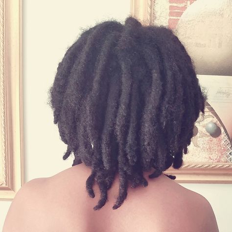 Short medium length thick semi freeform locs #awkwardlocmama Semi Freeform Locs Women, Freeform Locs Women, Semi Freeform Locs, Locs Women, Freeform Locs, Natural Black Hair, Beautiful Dreadlocks, Nappy Hair, Beautiful Black Hair