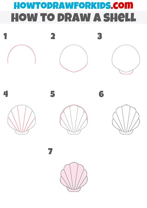 Starfish Drawing Tutorial, How To Draw Shells Step By Step, How To Draw A Clam, Seashell Drawing Step By Step, Drawing Shells Step By Step, How To Draw A Shell Step By Step, How To Draw A Starfish Step By Step, How To Draw A Surfboard Step By Step, How To Draw A Seashell Step By Step