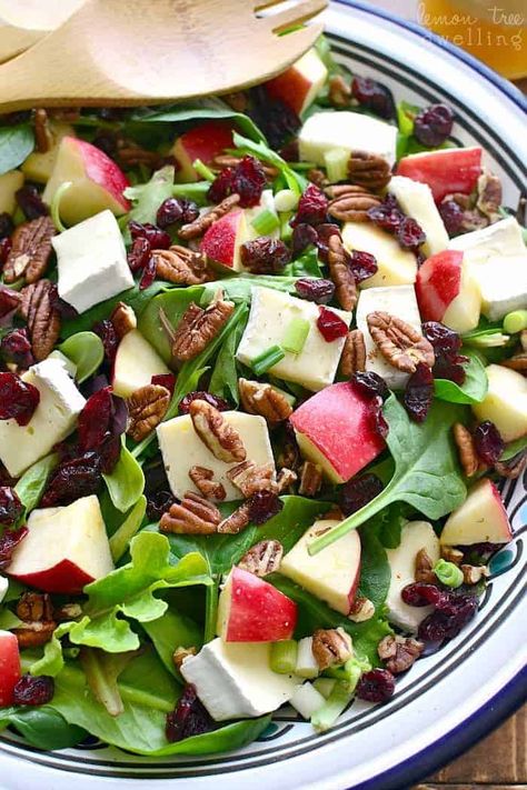 Apple Brie Salad - Lemon Tree Dwelling Brie Salad, Cider Dressing, Apple Brie, Balsamic Vinaigrette Recipe, Thanksgiving Salad, Maple Balsamic, Farro Salad, Bacon Salad, Autumn Salad