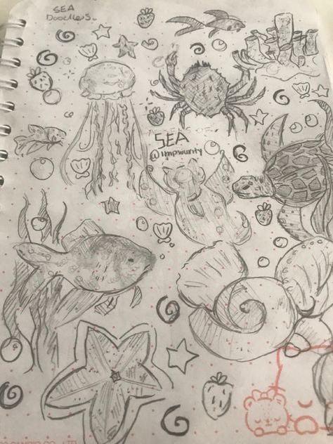 DO NOT REPOST I TOOK FOREVER TO DRAW THIS Marine Bio Drawing, Sea Theme Drawing, Aquarium Design Drawing, Marine Biology Drawings Easy, Marine Biology Drawings, Marine Doodles, Ocean Sketches, Marine Drawing, Marine Life Drawing