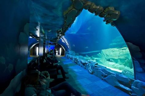 Things to do in Paris on a family weekend Paris Aquarium, Sydney Aquarium, Dubai Aquarium, Public Aquarium, Dubai International Airport, Ferrari World, Dubai Tour, Adventure Tourism, Family Weekend