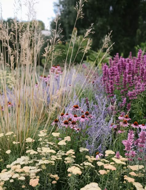 Dutch Gardens, Prairie Garden, Garden Inspo, Meadow Garden, Cottage Garden Design, Victorian Garden, Have Inspiration, Wildflower Garden, Pollinator Garden