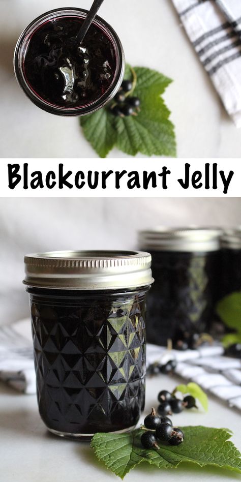 Blackcurrant Jelly ~ This easy homemade jelly only has two ingredients (Black currants and sugar).  No pectin required, and safe for canning.  #canning #foodpreservation #preservingfood #homestead #selfreliant #selfsufficiency #homesteading #blackcurrant #blackcurrantrecipes Black Currant Jelly, Black Currant Jelly Recipe, Black Currant Jam Recipes, Currant Jelly Recipe, Blackcurrant Recipes, Black Currents, Black Currant Recipes, Black Currant Jam, Blackcurrant Jelly