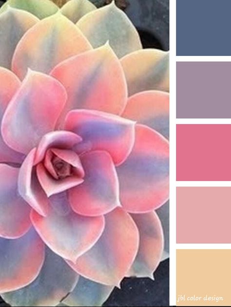 Pink Complimentary Colors, Drawing Desk, Yarn Organization, Color Pallete, Color Schemes Colour Palettes, Good Color Combinations, Color Me Beautiful, Color Palate, Design Seeds