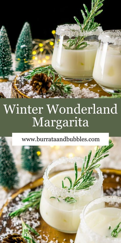 When Old Man Winter strikes, nothing gets you through the cold night like a seasonal cocktail by the fire, and you'll love sipping on this Winter Wonderland Margarita. Made with sweet and savory rosemary simple syrup and bright white coconut milk, this Winter Wonderland Margarita is your perfect sipper for the occasion. Serve with a candied rosemary sprig for a sparkly, wintry touch. Candied Rosemary, Winter Margarita, Festive Cocktail Recipes, Coconut Margarita, Rosemary Simple Syrup, Winter Cocktail, Seasonal Cocktail, Tom Collins, Christmas Cocktail