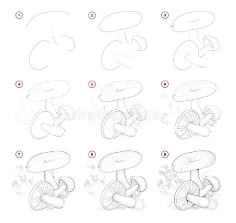 Draw Mushrooms, Pencil Drawings Of Nature, Step By Step Sketches, Easy Sketches, Drawing Guides, Mushroom Drawing, Flower Drawing Tutorials, Nature Sketch, Easy Doodles Drawings