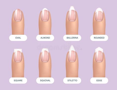 Set of simple realistic natural manicured nails with different shapes. Vector illustration for your graphic design. stock illustration Ballerina Vs Coffin, Best Summer Nail Color, Long Almond Nails, Natural Manicure, Manicured Nails, Shapes Vector, Nail Design Video, Acrylic Nail Shapes, Different Nail Shapes