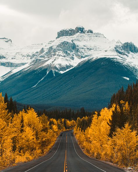 What To Do In Banff This Fall Season: A Foliage Guide | finally Fall is here! My absolute FAVORITE season! My first time visiting Banff was during the summer of 2016. The only pictures I had seen of the park were of Moraine Lake, and BOY did that blue capture my heart. Summer was great and all, but when I heard that Banff National Park was just as beautiful in the fall, I knew I HAD to come back. | Visit Banff in the Fall | Exploring Canada in the Fall | Banff Fall Travel Banff Aesthetic Fall, Banff Canada Fall, Banff Picture Ideas, Banff Fall, Adirondack Art, Autumn In Canada, Canada Honeymoon, Canada Autumn, Canada Fall