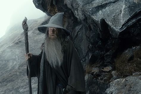 The Hobbit: The Desolation of Smaug Hobbit Desolation Of Smaug, Hobbit Party, The Desolation Of Smaug, Gandalf The Grey, Into The West, Ian Mckellen, Desolation Of Smaug, Thorin Oakenshield, Jrr Tolkien