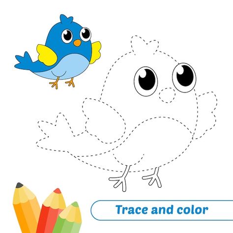 Trace And Color Worksheets For Kids, Tracing Drawing For Kids, Trace And Color Worksheets, Birds Worksheets Kindergarten, Birds Worksheets For Kids, Birds Kindergarten Activities, Bird Art For Kids, Drawing For Nursery, Drawing Worksheets For Kids