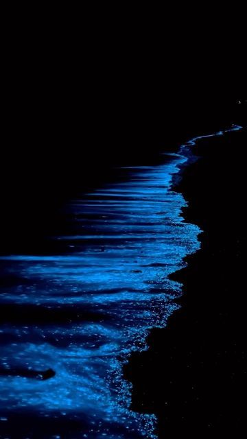 Bioluminescence Water, Sea Pics, Beautiful Heart Pictures, Bioluminescent Plankton, Sea Of Stars, Visit Maldives, Beach Video, Pretty Backgrounds, Beautiful Locations Nature