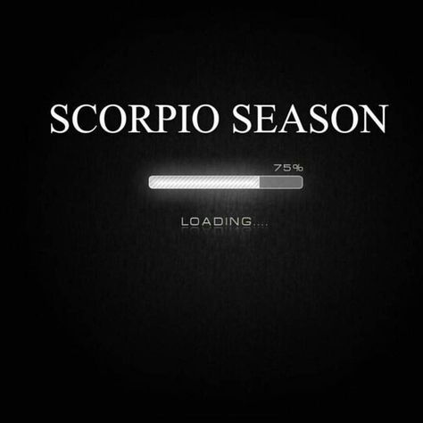 Scorpio Season Scorpio Szn Aesthetic, Scorpio Season Aesthetic, Scorpio Season Quotes, Scorpio Season Is Coming, Scorpio Season Is Here, Funny Scorpio Quotes, Scorpion Sign, Laptop Collage, Software Quotes