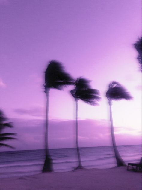 #palmtrees #palms #aesthetic #ocean #purple #blurry #beach Purple Tropical Aesthetic, Purple People Aesthetic, Summer Purple Aesthetic, Purple Beach Aesthetic, Palms Aesthetic, University Notes, Pastel Horror, Ocean Purple, Fiji Holiday