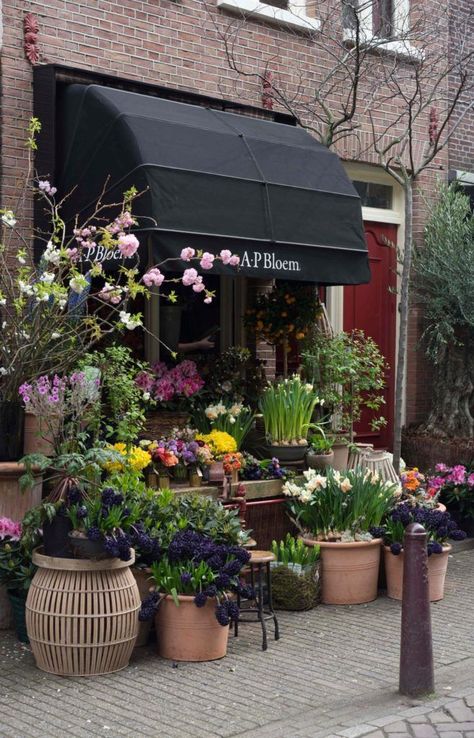 Amsterdam Shops, Cute Flower Shop, Flower Shop Display, Flower Shop Interiors, Dream Flower, Farm Cafe, Flower Shop Decor, Flower Shop Design, Future Shop