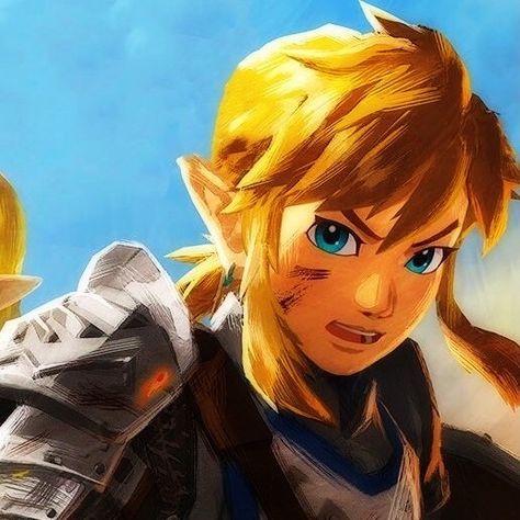 Link Pfp Aesthetic, Zelink Pfp, Zelda Pfp, Link X Zelda, Link Pfp, Shigeru Miyamoto, Zelda Botw, Japanese Games, Zelda Art