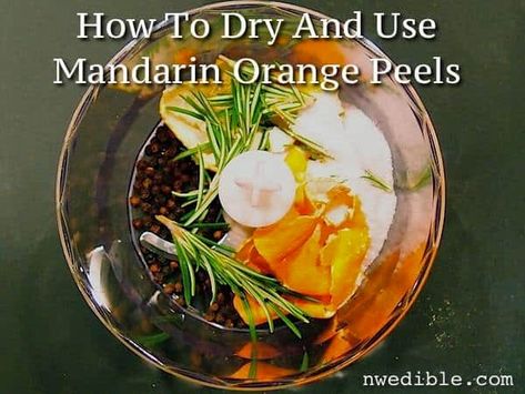 How To Dry And Use Mandarin Orange Peels | Northwest Edible Life Mandarin Peel, Orange Peels, Braised Lamb, Mandarin Oranges, How To Dry Rosemary, Dehydrated Food, Orange Spice, Dehydrator Recipes, Reduce Food Waste