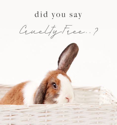 What is Cruelty-Free in 2020? | What You Need To Know Pastel Scandinavian, Perfume Quotes, Cosmetic Labels, Bunny Logo, Mean To Be, Motion Design Video, Ethical Shopping, Mineral Makeup, Cruelty Free Cosmetics