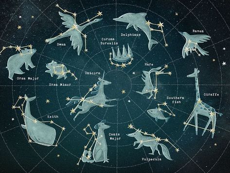 Constellation map designed by YetiCrab. Connect with them on Dribbble; the global community for designers and creative professionals. Zodiac Constellation Tattoo, Constellation Drawing, Constellation Chart, Astronomy Constellations, Constellation Art, Constellation Tattoo, Moon Reading, Hidden Truths, Constellation Map