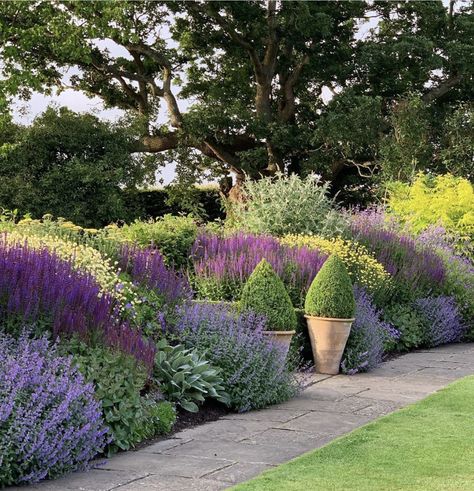 Shrub Border Ideas, Shady Border, Shrub Border, Cottage Garden Borders, Border Garden, Backyard Garden Beds, Garden Inspo, Hydrangea Garden, Cottage Garden Design