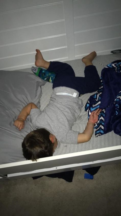 My Kid Sleeps Like He Fell Down In Family Guy Sleep Meme, Sleeping Pose, Boyfriend Sleeping, Sleep Funny, Poses References, Kids Sleep, Falling Down, Best Funny Pictures, Bored Panda